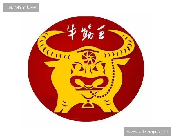 深入了解尊龙凯时的产品线与服务特色全面介绍